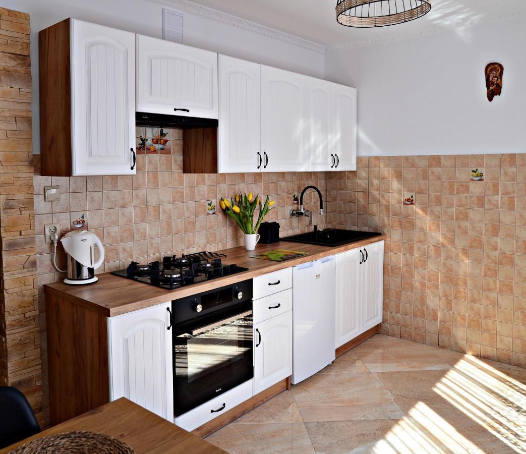 Apartament Z Tarasem I Pokoje Klimatyzowane -Drozdowka Solina Solina  Εξωτερικό φωτογραφία