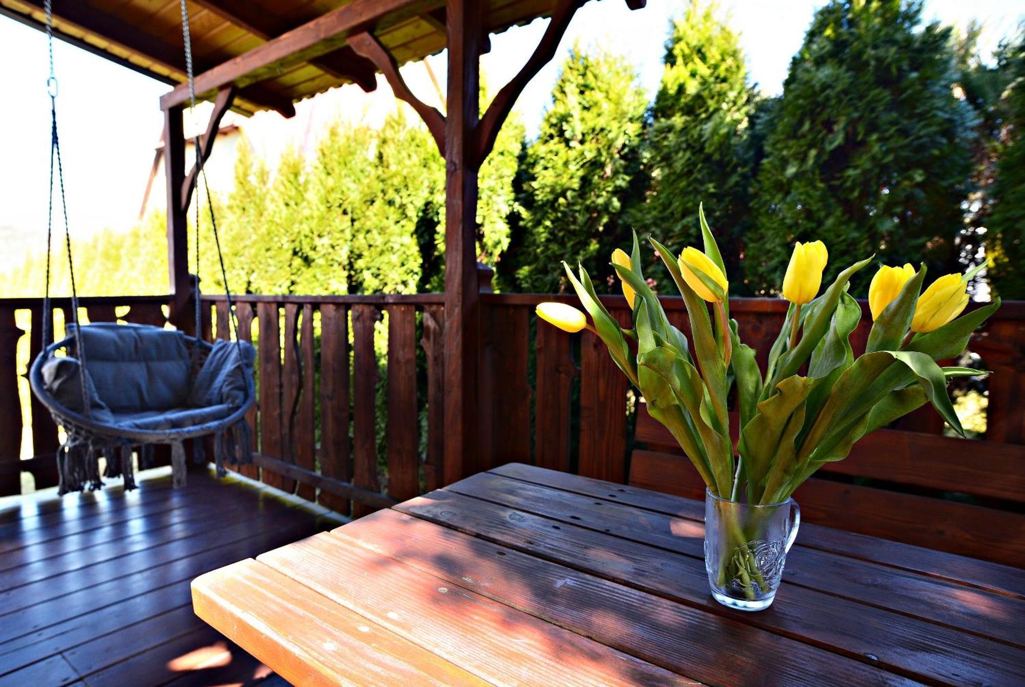 Apartament Z Tarasem I Pokoje Klimatyzowane -Drozdowka Solina Solina  Εξωτερικό φωτογραφία